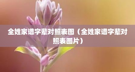 全姓家谱字辈对照表图（全姓家谱字辈对照表图片）