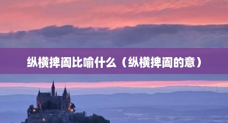 纵横捭阖比喻什么（纵横捭阖的意）