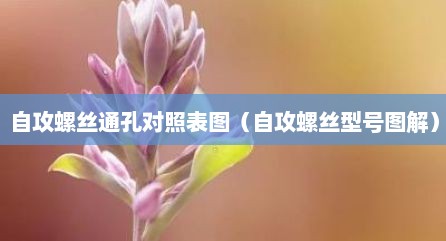 自攻螺丝通孔对照表图（自攻螺丝型号图解）