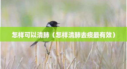 怎样可以清肺（怎样清肺去痰最有效）