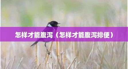 怎样才能腹泻（怎样才能腹泻排便）