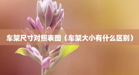 车架尺寸对照表图（车架大小有什么区别）