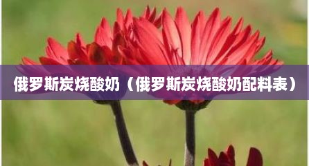 俄罗斯炭烧酸奶（俄罗斯炭烧酸奶配料表）