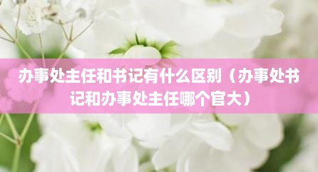 办事处主任和书记有什么区别（办事处书记和办事处主任哪个官大）