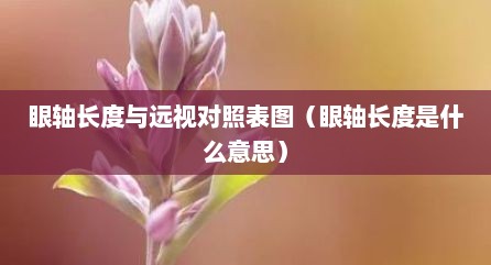 眼轴长度与远视对照表图（眼轴长度是什么意思）