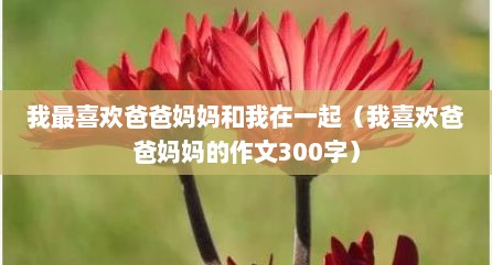 我最喜欢爸爸妈妈和我在一起（我喜欢爸爸妈妈的作文300字）