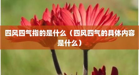 四风四气指的是什么（四风四气的具体内容是什么）