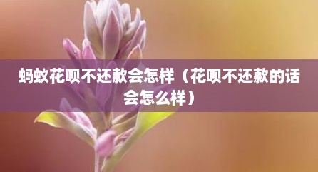 蚂蚁花呗不还款会怎样（花呗不还款的话会怎么样）