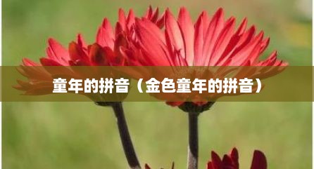 童年的拼音（金色童年的拼音）