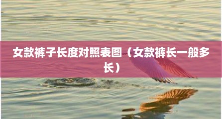 女款裤子长度对照表图（女款裤长一般多长）