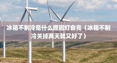 冰箱不制冷是什么原因灯会亮（冰箱不制冷关掉两天就又好了）