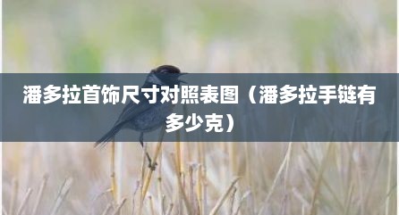 潘多拉首饰尺寸对照表图（潘多拉手链有多少克）