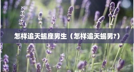 怎样追天蝎座男生（怎样追天蝎男?）
