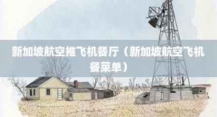 新加坡航空推飞机餐厅（新加坡航空飞机餐菜单）