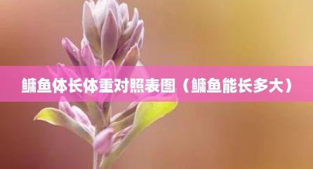 鳙鱼体长体重对照表图（鳙鱼能长多大）