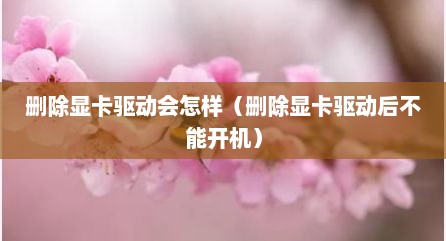 删除显卡驱动会怎样（删除显卡驱动后不能开机）