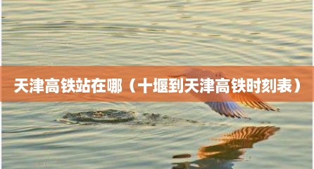 天津高铁站在哪（十堰到天津高铁时刻表）