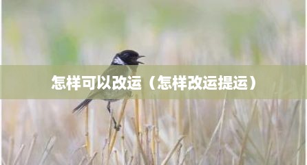 怎样可以改运（怎样改运提运）