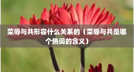 荣辱与共形容什么关系的（荣辱与共是哪个热词的含义）