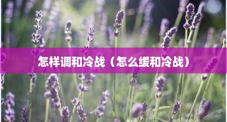 怎样调和冷战（怎么缓和冷战）