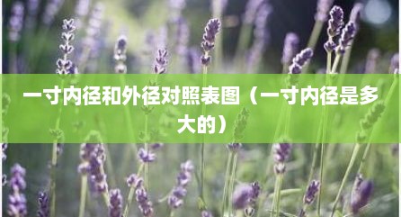 一寸内径和外径对照表图（一寸内径是多大的）