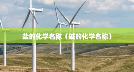 盐的化学名称（碱的化学名称）