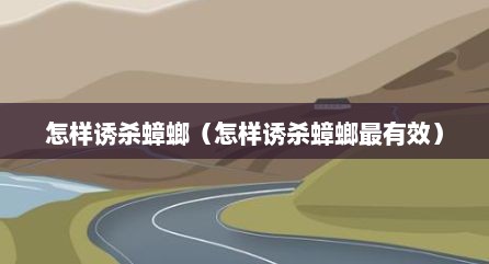 怎样诱杀蟑螂（怎样诱杀蟑螂最有效）