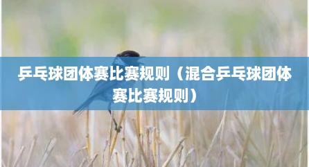 乒乓球团体赛比赛规则（混合乒乓球团体赛比赛规则）