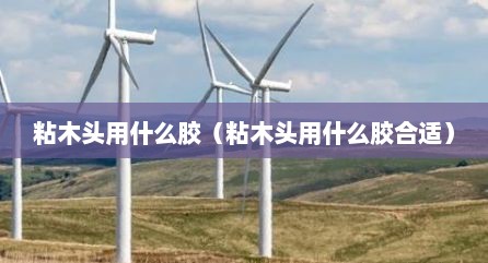 粘木头用什么胶（粘木头用什么胶合适）