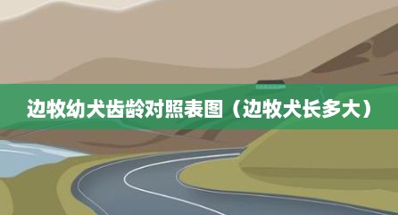边牧幼犬齿龄对照表图（边牧犬长多大）