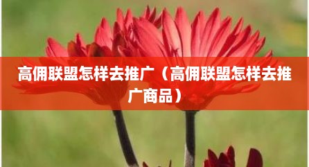 高佣联盟怎样去推广（高佣联盟怎样去推广商品）