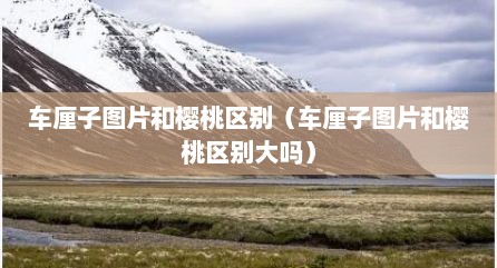 车厘子图片和樱桃区别（车厘子图片和樱桃区别大吗）