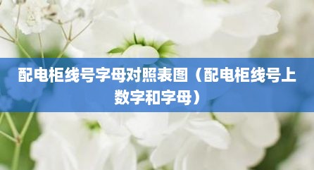 配电柜线号字母对照表图（配电柜线号上数字和字母）