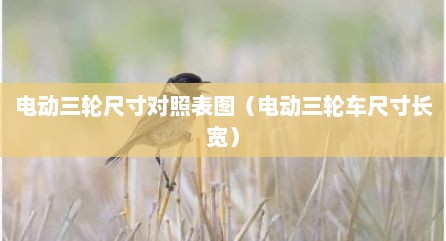 电动三轮尺寸对照表图（电动三轮车尺寸长宽）