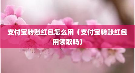 支付宝转账红包怎么用（支付宝转账红包用领取吗）