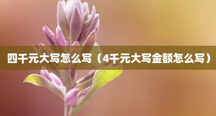 四千元大写怎么写（4千元大写金额怎么写）