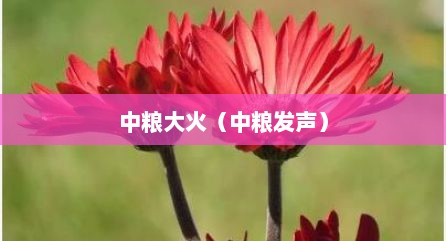 中粮大火（中粮发声）