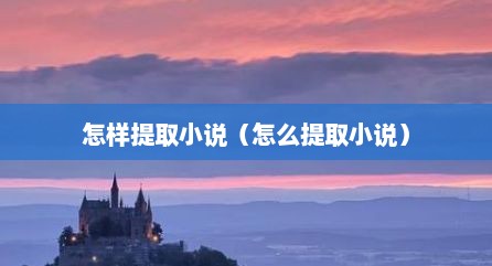 怎样提取小说（怎么提取小说）