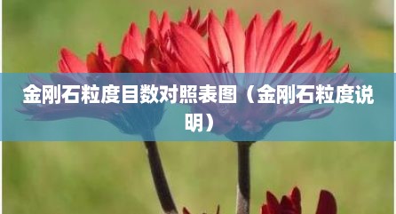 金刚石粒度目数对照表图（金刚石粒度说明）