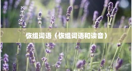 恢组词语（恢组词语和读音）