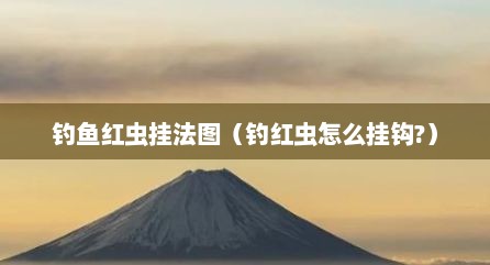 钓鱼红虫挂法图（钓红虫怎么挂钩?）