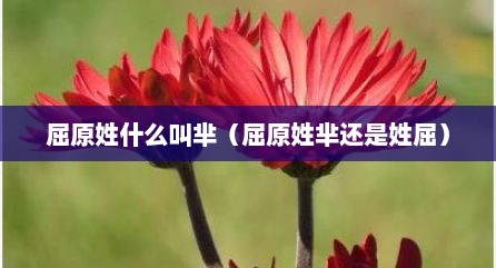 屈原姓什么叫芈（屈原姓芈还是姓屈）