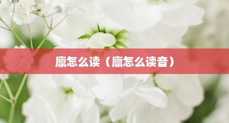 廪怎么读（廪怎么读音）