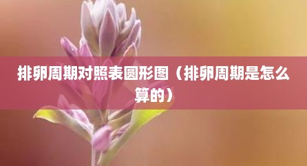 排卵周期对照表圆形图（排卵周期是怎么算的）