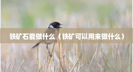 铁矿石能做什么（铁矿可以用来做什么）