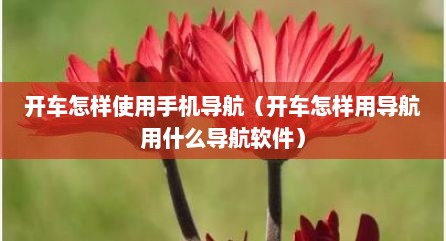 开车怎样使用手机导航（开车怎样用导航用什么导航软件）