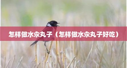 怎样做水汆丸子（怎样做水汆丸子好吃）