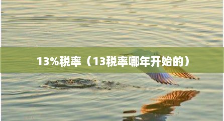13%税率（13税率哪年开始的）