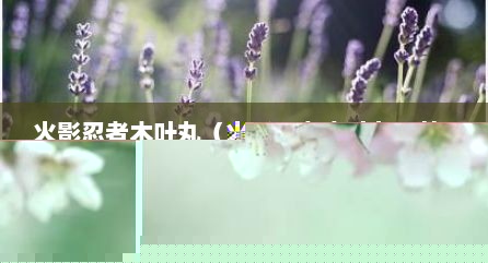 火影忍者木叶丸（火影忍者木叶丸图片）