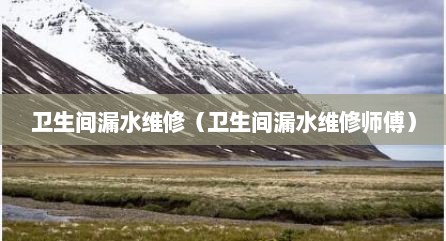 卫生间漏水维修（卫生间漏水维修师傅）